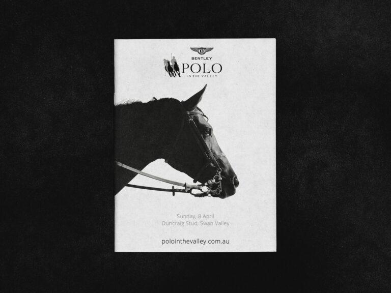 A minimalist poster design for the upcoming Polo in the Valley event.