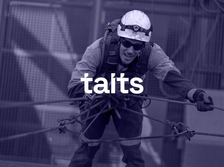 A man wearing safety gear suspended among ropes with the Taits Consulting logo overlaid in white in the centre.